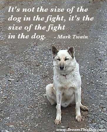 dog quotes funny. Funny Motivational Quotes